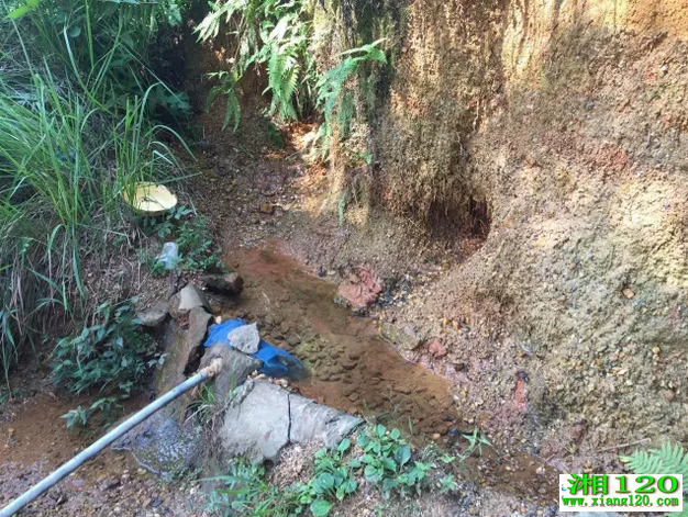 株洲一山泉被检出致癌物 居民曾称其为“神泉”