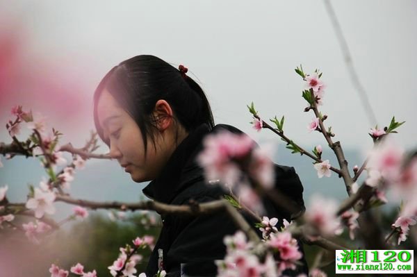 健康-湘120-湖南健康