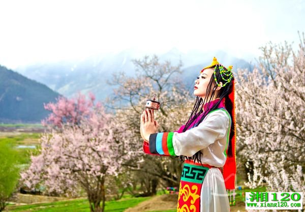 健康-湘120-湖南健康