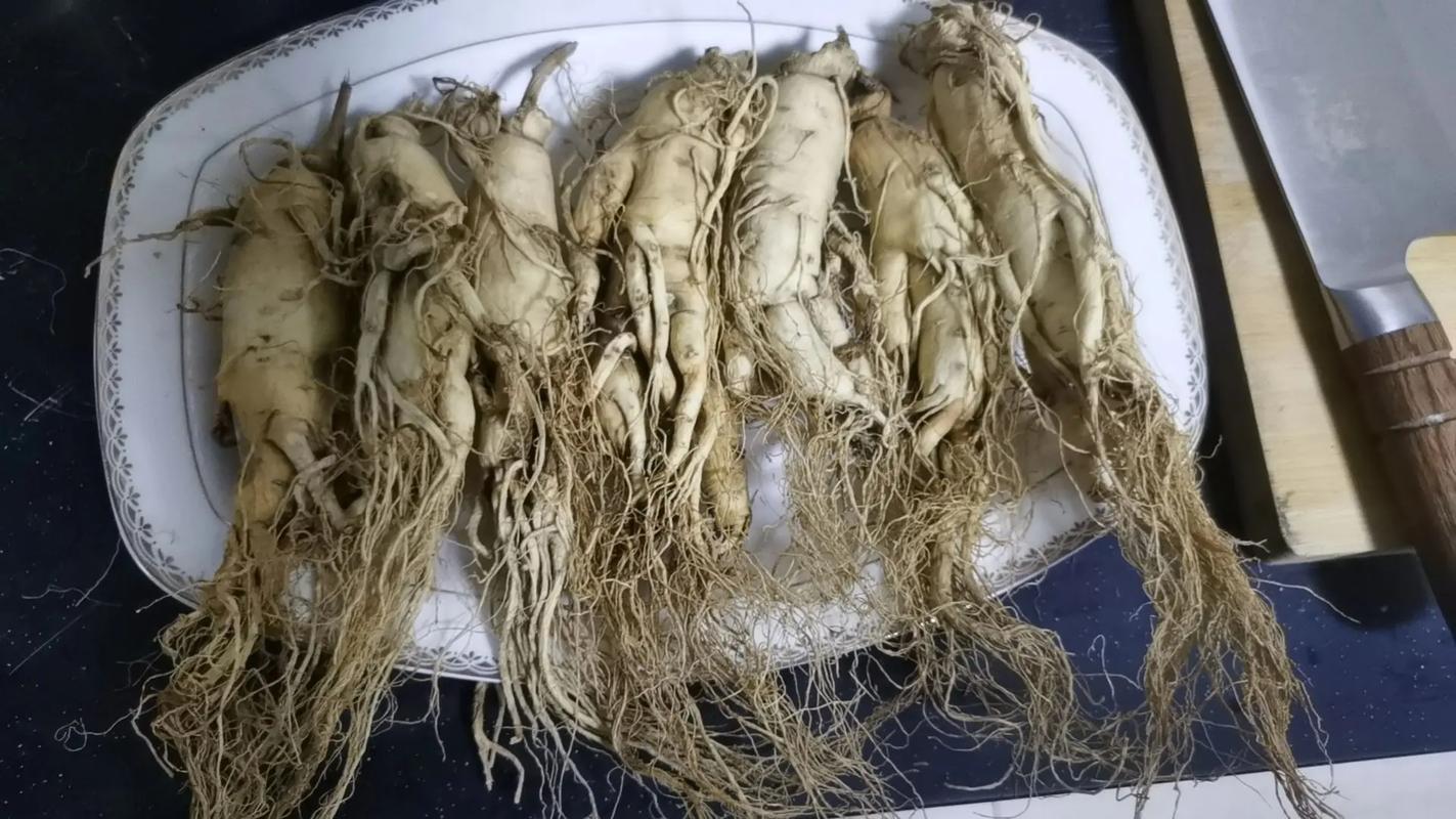 败毒散中人参的作用