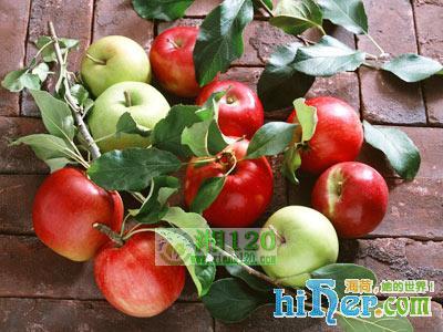 测试你是哪种脂肪类水果