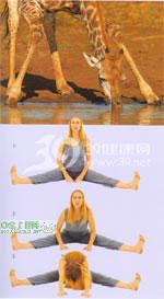 瑜伽体式:阿帕那式