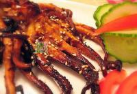 ���ˣ��㶫��