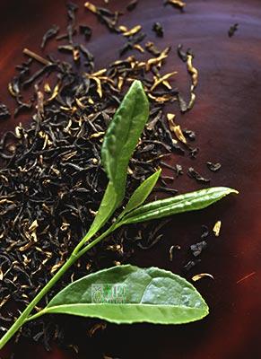 新奇的去皱良方 好学又有效