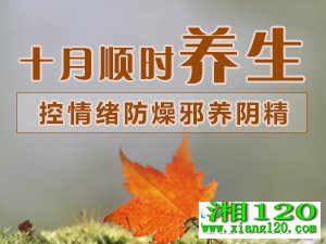 ʮ