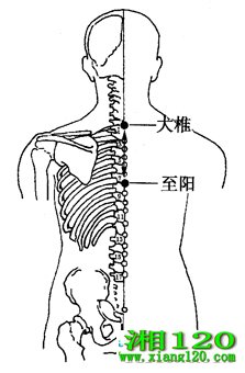ͼ2-5-2׵