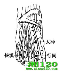 ͼ2-6-3м䡢̫塢Ϫ