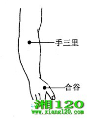 ͼ2-19-5Ϲ