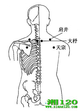 ͼ3-1-1羮̡