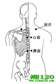 ͼ5-8-1羮ᡢƢ
