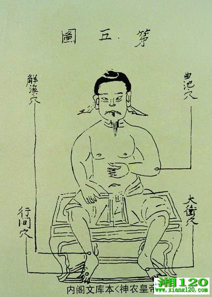 ũʵ뾭ͼֲѨͼ 