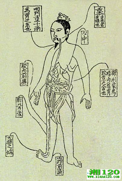顷ͼ 