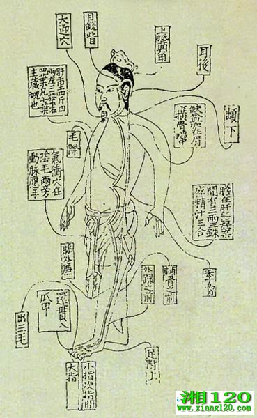 顷ͼ 