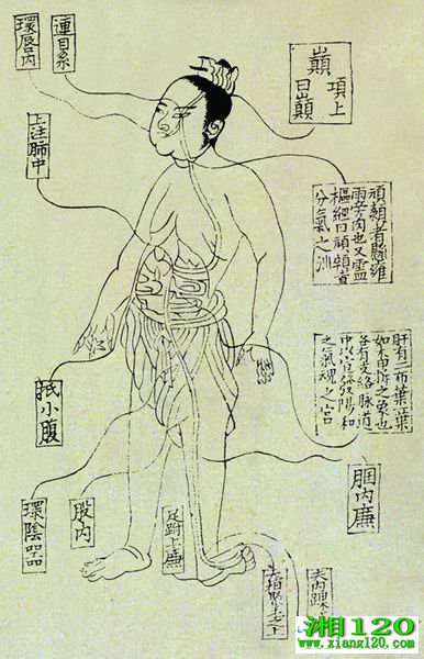 顷ͼ 