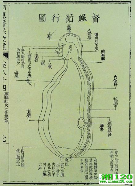 ҽڽ澭ͼ 