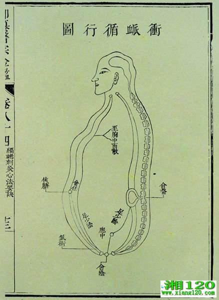 ҽڽ澭ͼ 