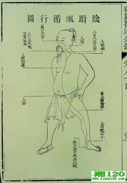 ҽڽ澭ͼ 