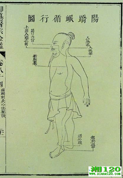 ҽڽ澭ͼ 