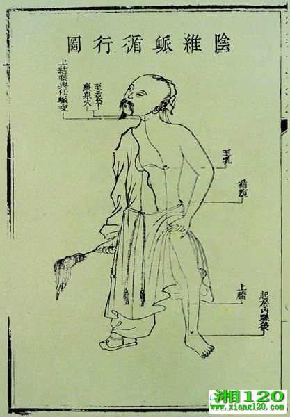 ҽڽ澭ͼ 
