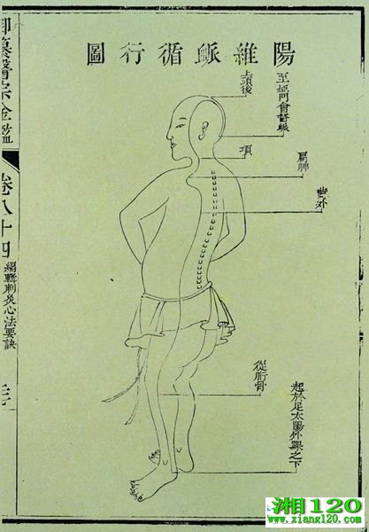 ҽڽ澭ͼ 
