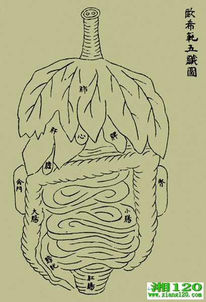 ѭѨࡷŷϣͼ 