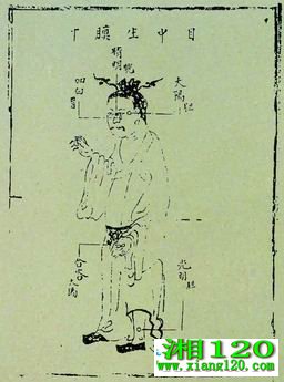 ʴ