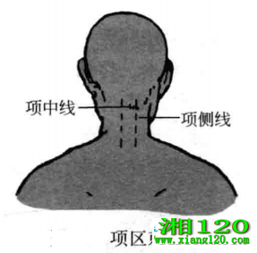 ̼