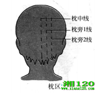 ̼