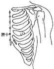 ͼ2-3-3
