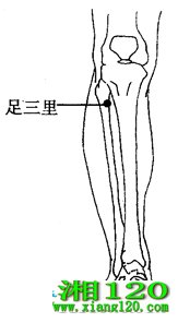 ͼ2-3-6