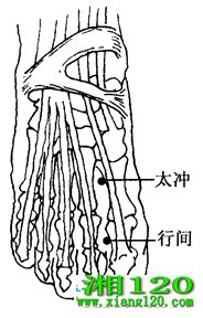 ͼ2-5-4