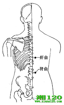 ͼ2-5-5