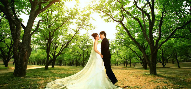 老人脑血管堵塞的原因 三大原因凸显脑血管堵塞 老人脑血管堵塞的原因 三大原因凸显脑血管堵塞