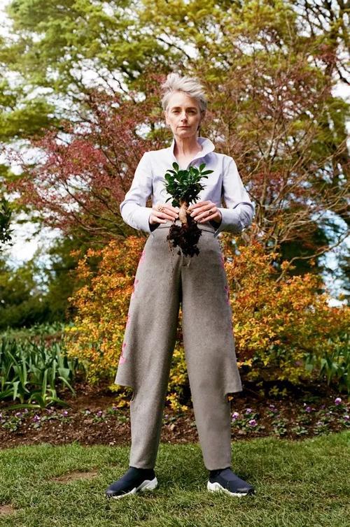 �ٲ�Ѫѹ������Χ �ٲ�Ѫѹ������̥�������Ĺؼ�