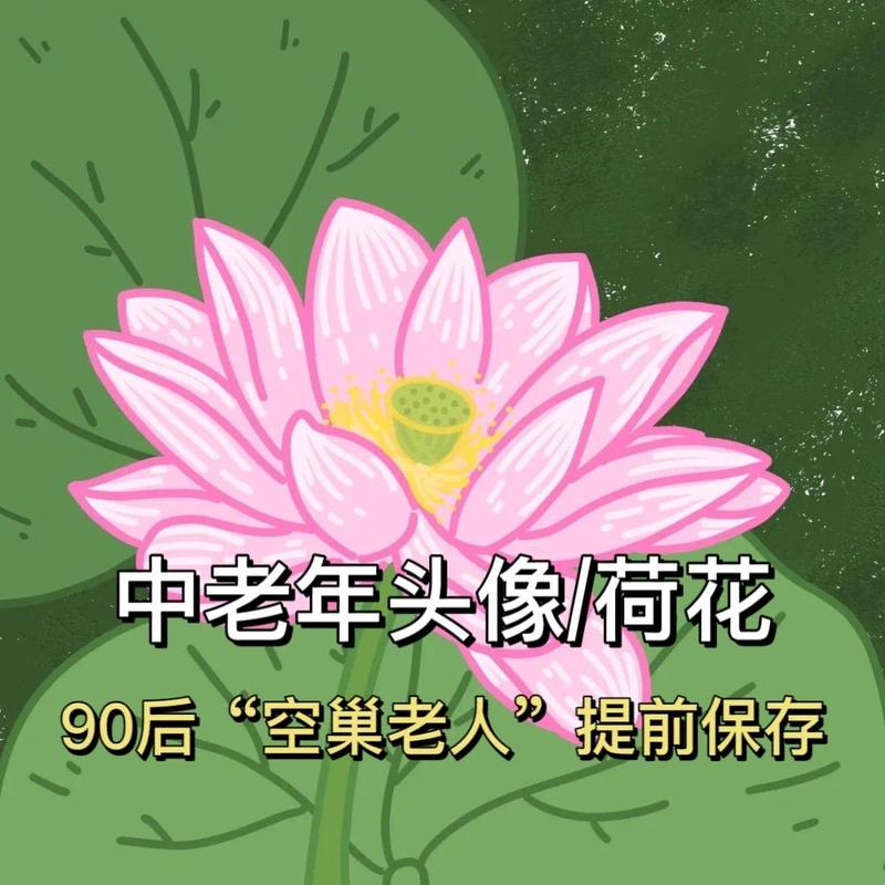 �������ٳ� ����������