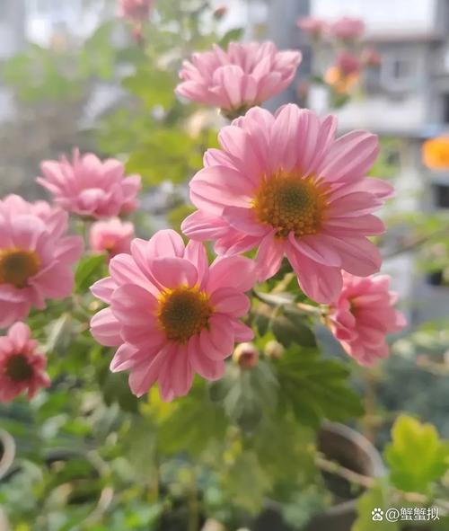 ��У��ַ�У����ʲô