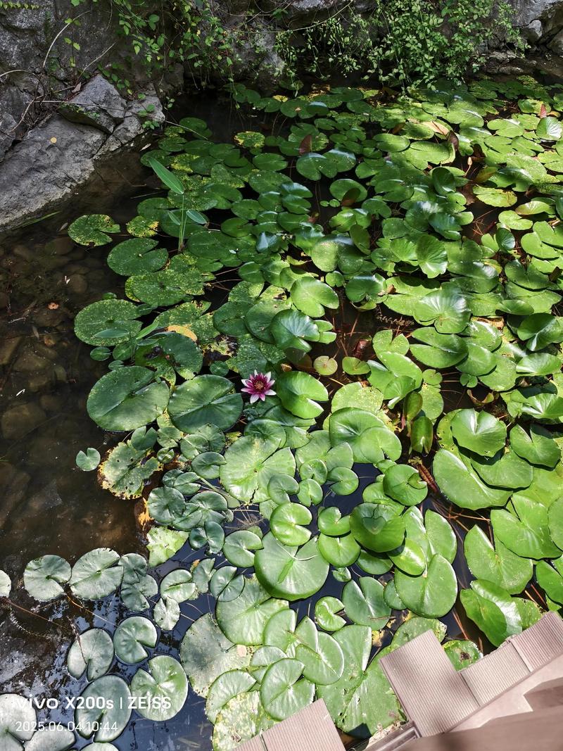 ��ô�����۾���Χ��֬����