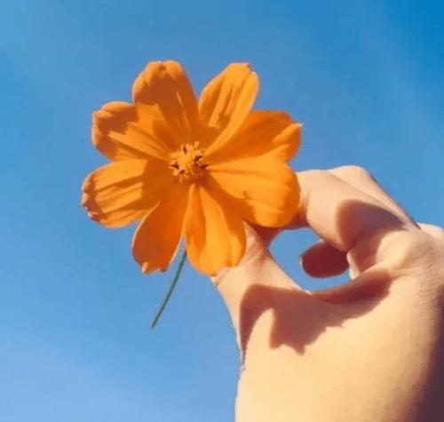 高血压有注意哪些问题 情绪波动引起血压变化 高血压有注意哪些问题 情绪波动引起血压变化