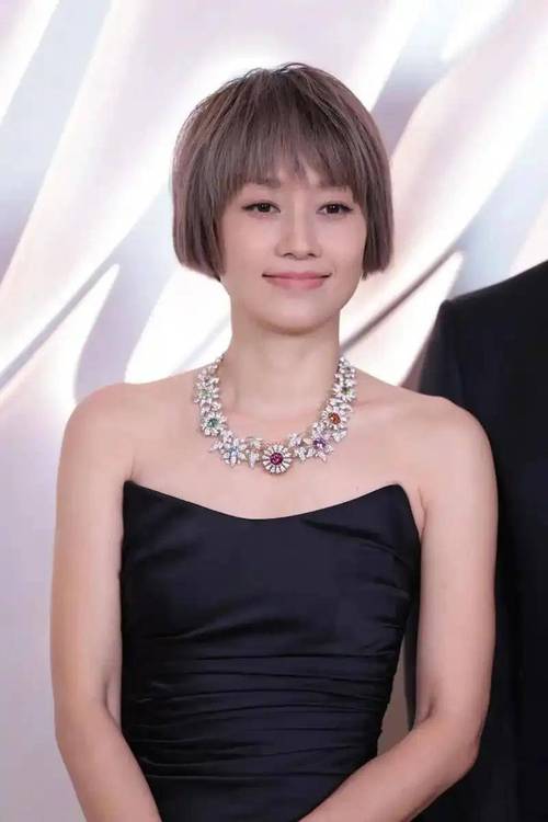 ���м��NT��Ŀ���òο��۸�������ȸ�����