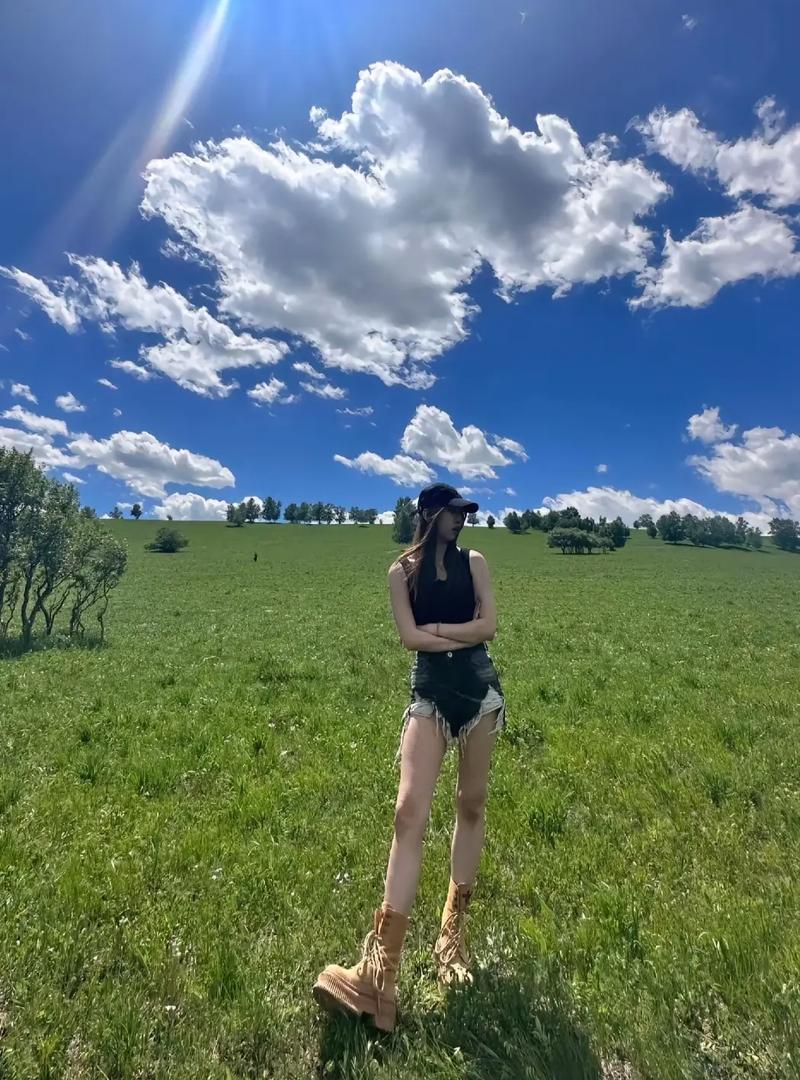 ����Ҷ׳���Ĺ�Ч ����Ҷ׳���ķ��÷���