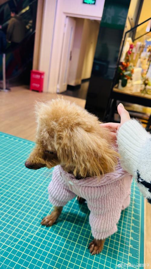 仰卧起坐伤腰吗 如何保证伤害最小 仰卧起坐伤腰吗 如何保证伤害最小