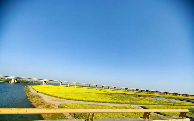 �����������������������Щ  ��Щ����һ�����ɺ���