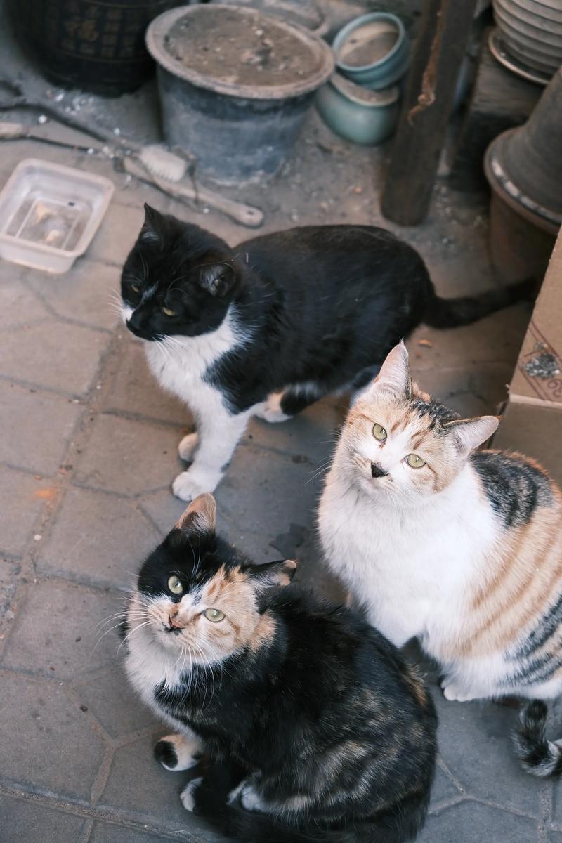 教育孩子的好方法 家长们看过来 教育孩子的好方法 家长们看过来