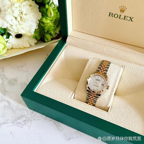 �������ݳ��� �������ݳ���������