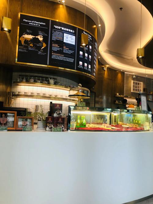 肺钙化灶是怎么回事 肺钙化灶是怎么回事