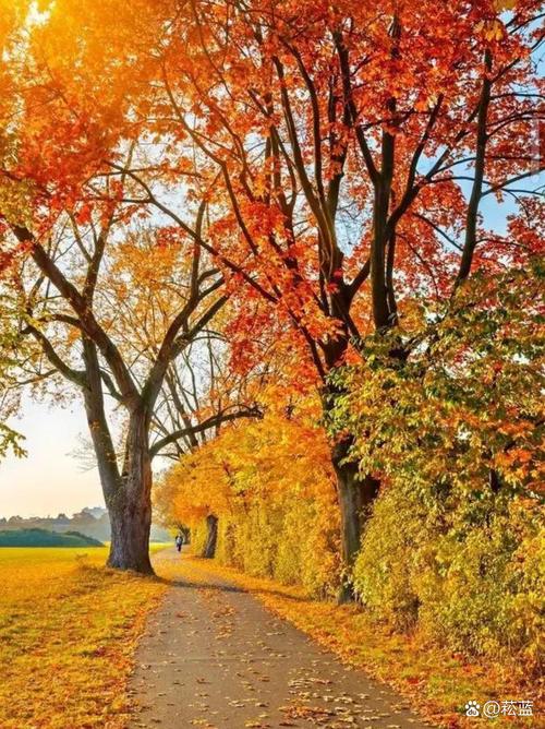 ��ʢ������Ϣ��ҵ��ʢ������Ϣ��ҵ԰��Ƹ