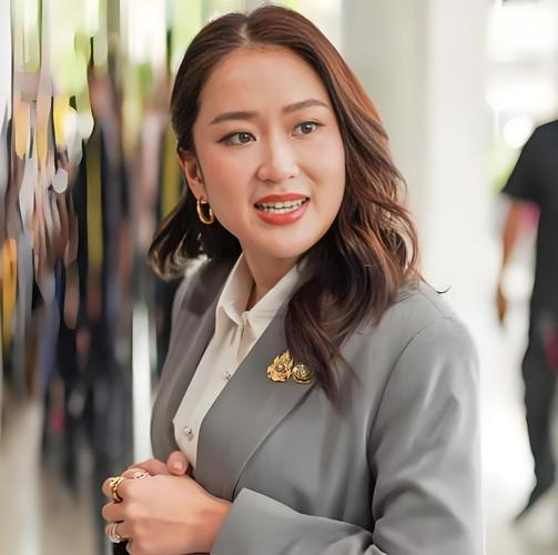 �������˸�� �������˸��������