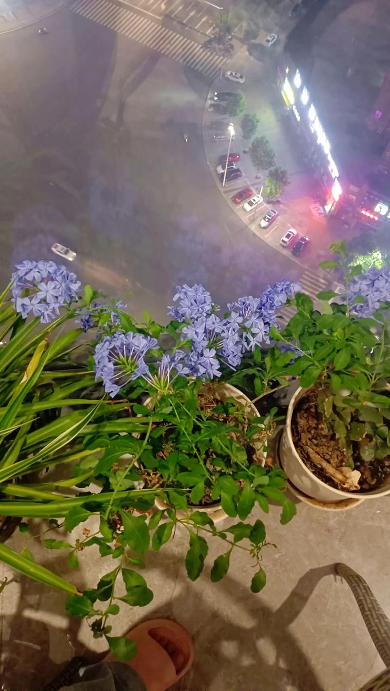 女性健康养生方法有哪些 常见方法告诉你 女性健康养生方法有哪些 常见方法告诉你