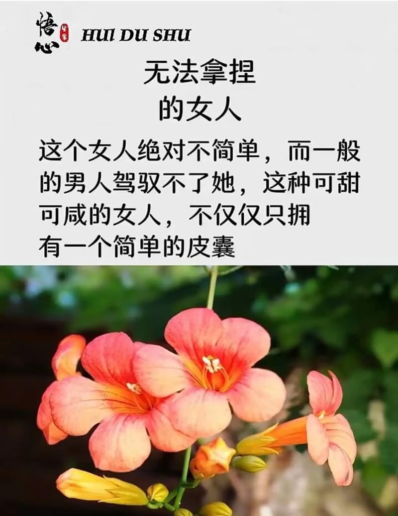 ˮϴͷȷ ˽Ĳӵ˳㷢