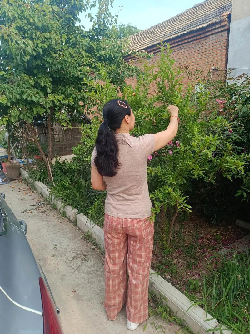 哪些食物能有效对待现代污染 六种帮你有效对付现代污染的食物 哪些食物能有效对待现代污染 六种帮你有效对付现代污染的食物